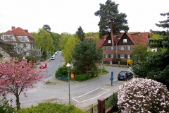 Rondell-Fruehling