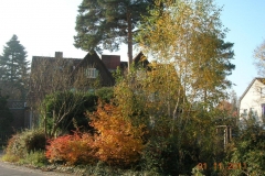 Rondell-Herbst