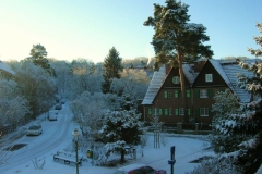 Rondell-Winter-Sonne
