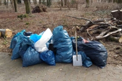 Ausbeute